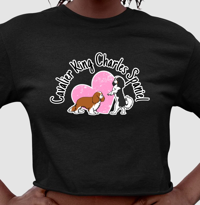 Cropped Cavalier King Charles Spaniel Modelo 04
