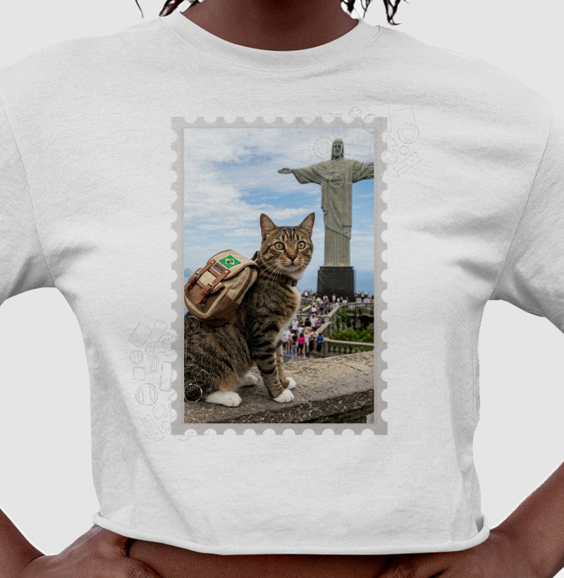 Travelling Cats - Cristo Redentor