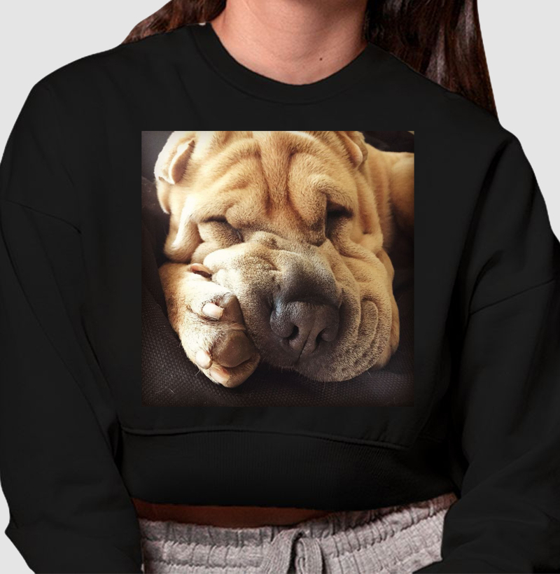 Sleeping Sharpei - Crooped