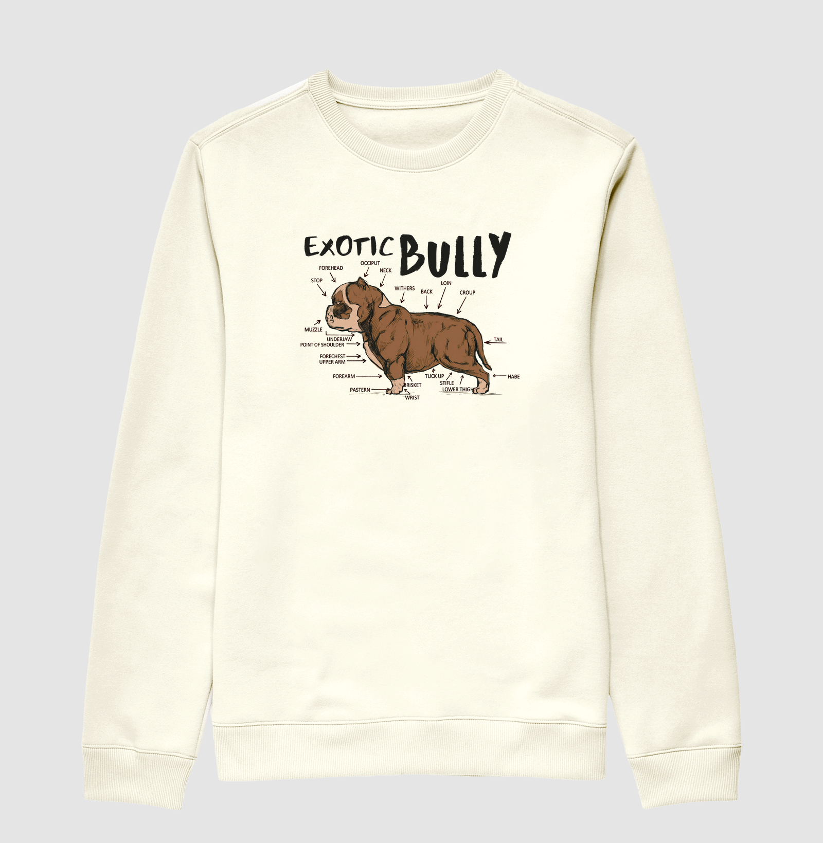Exotic Bully