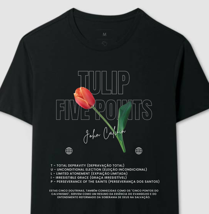 Tulip Points A'rt