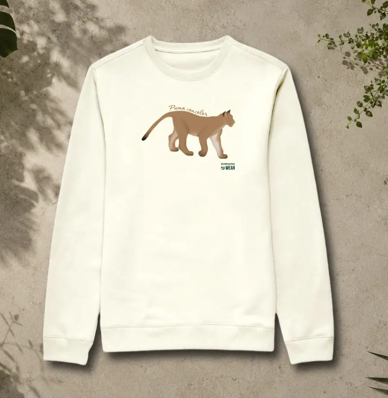 PUMA CONCOLOR - Coleção Felinos