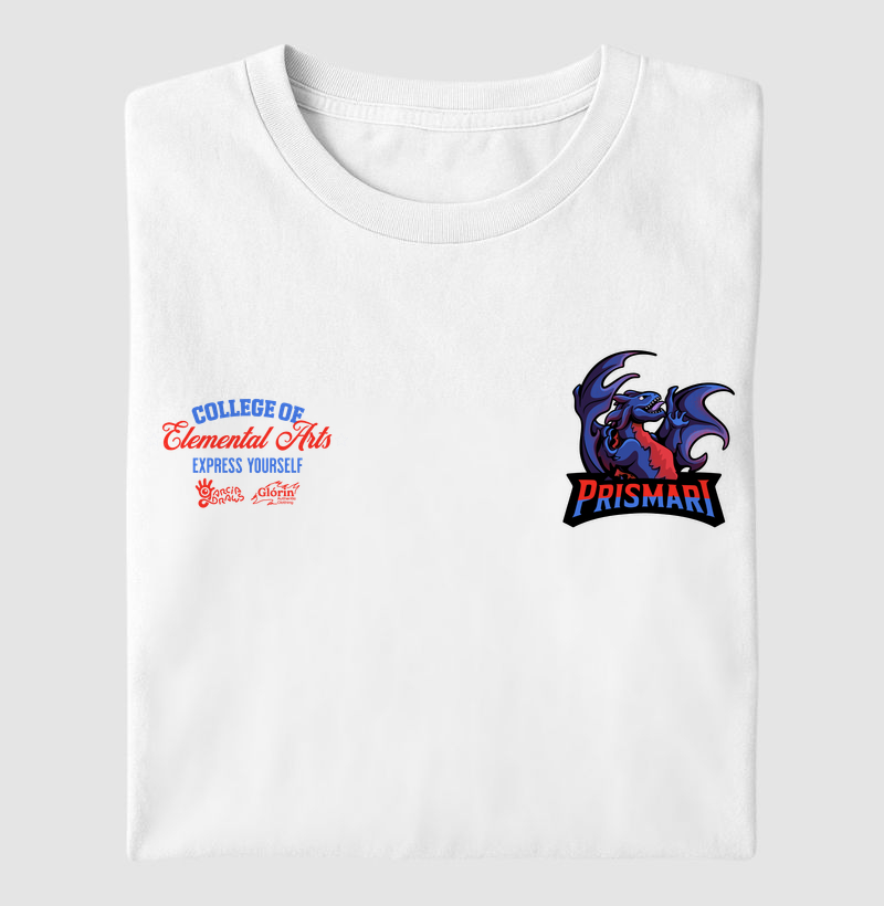 Prismari College - Pocket