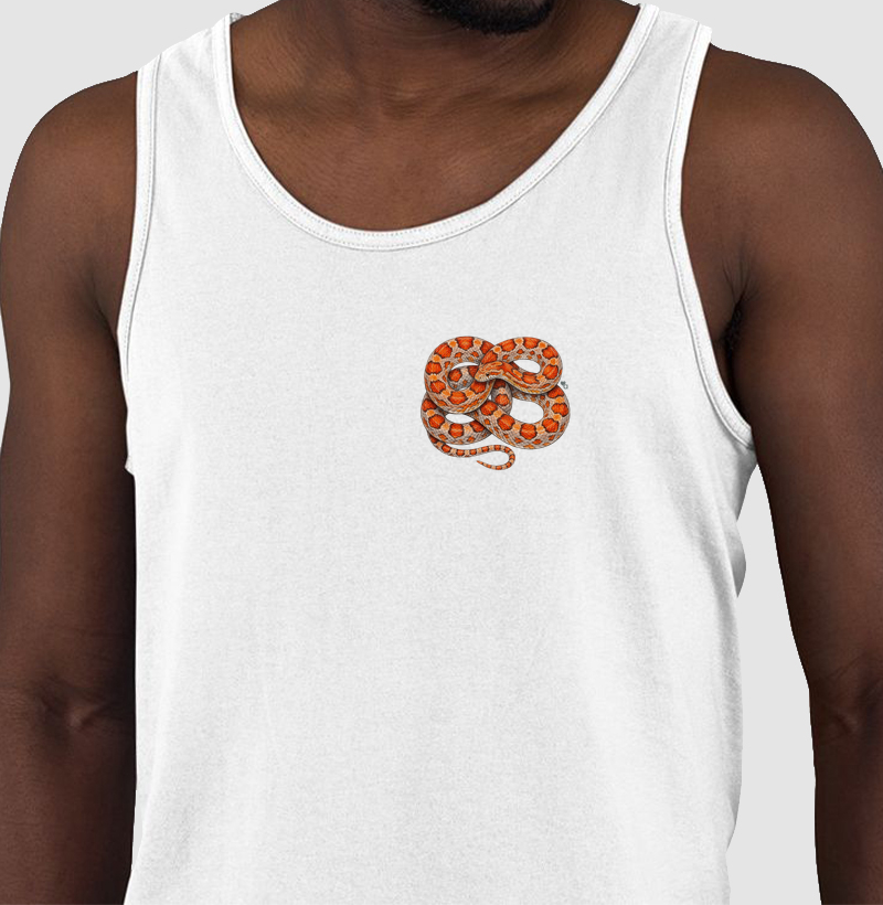 Répteis - Mini - Corn Snake - Regata - Regata