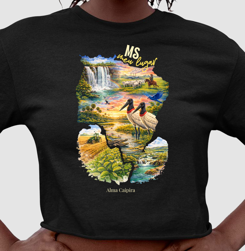 MS meu lugar_2