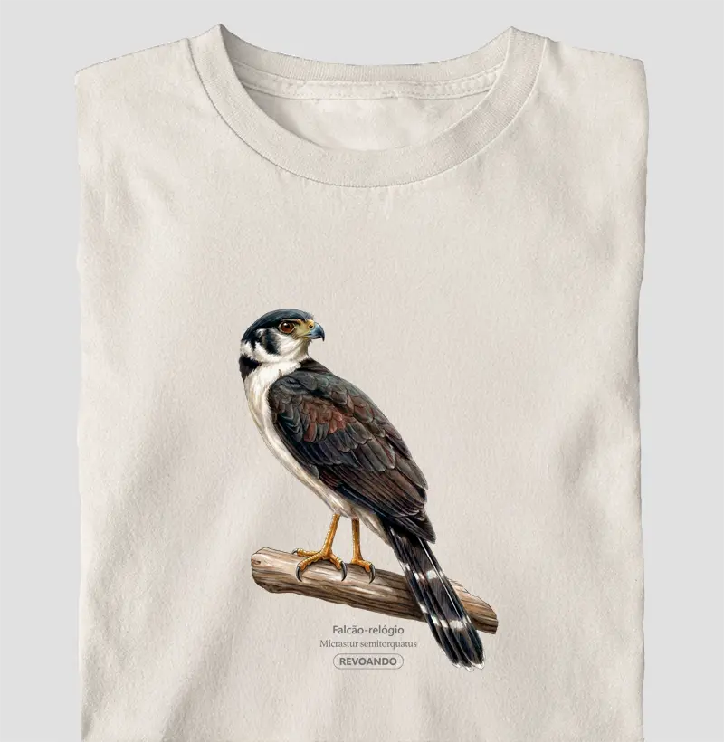 Traços Alados - Falcão-relógio - Oversized