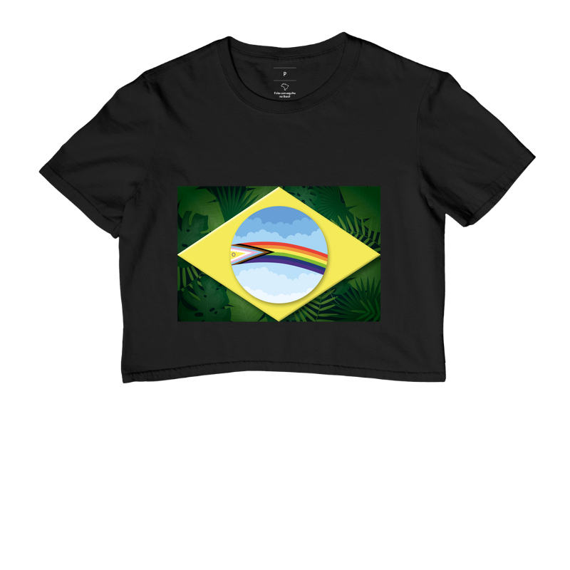Bandeira Brasil lgbtqia+