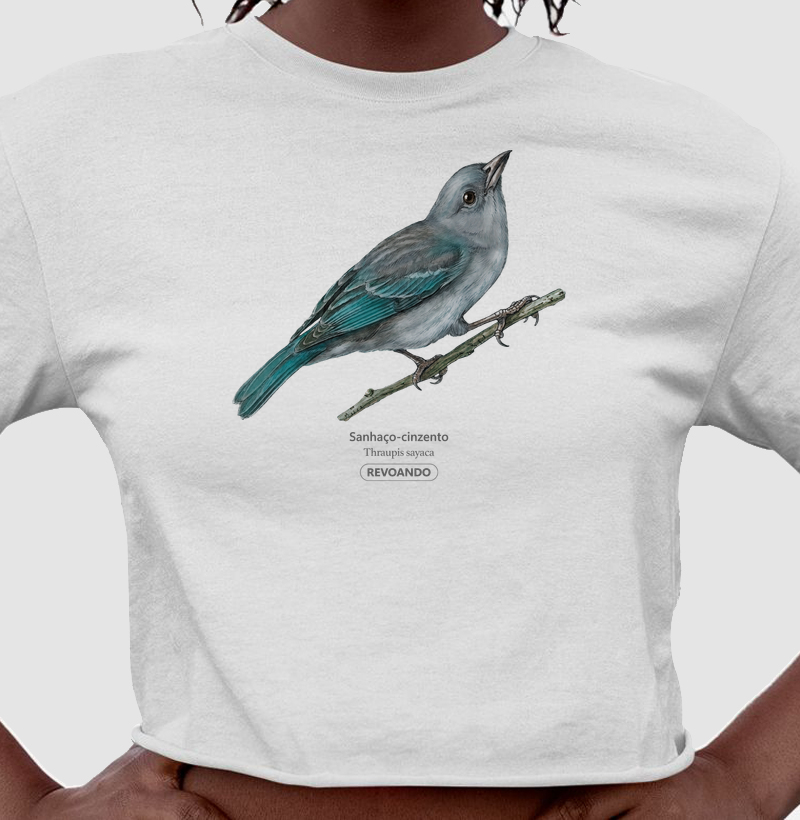 Traços Alados - Sanhaço-cinzento - Cropped