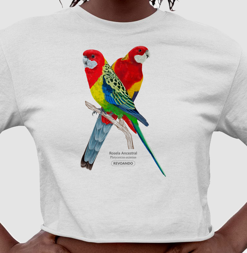 Love Friends - Rosela Ancestral - Cropped