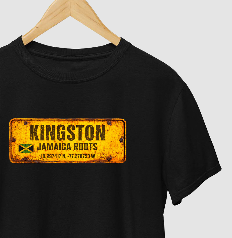 Placa Kingston