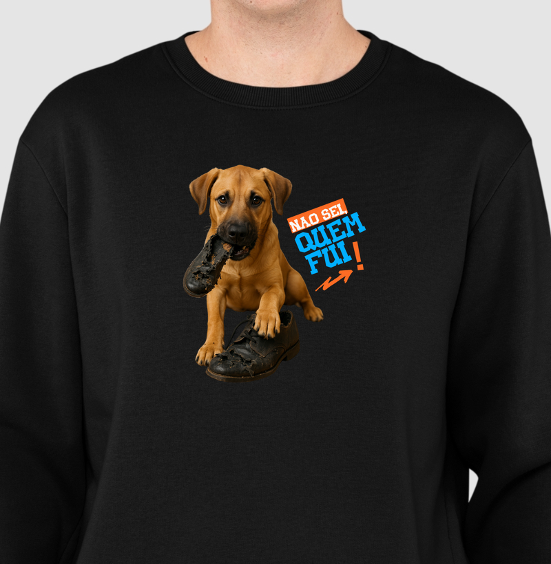 Sueter Moletom Não Sei Quem Fui