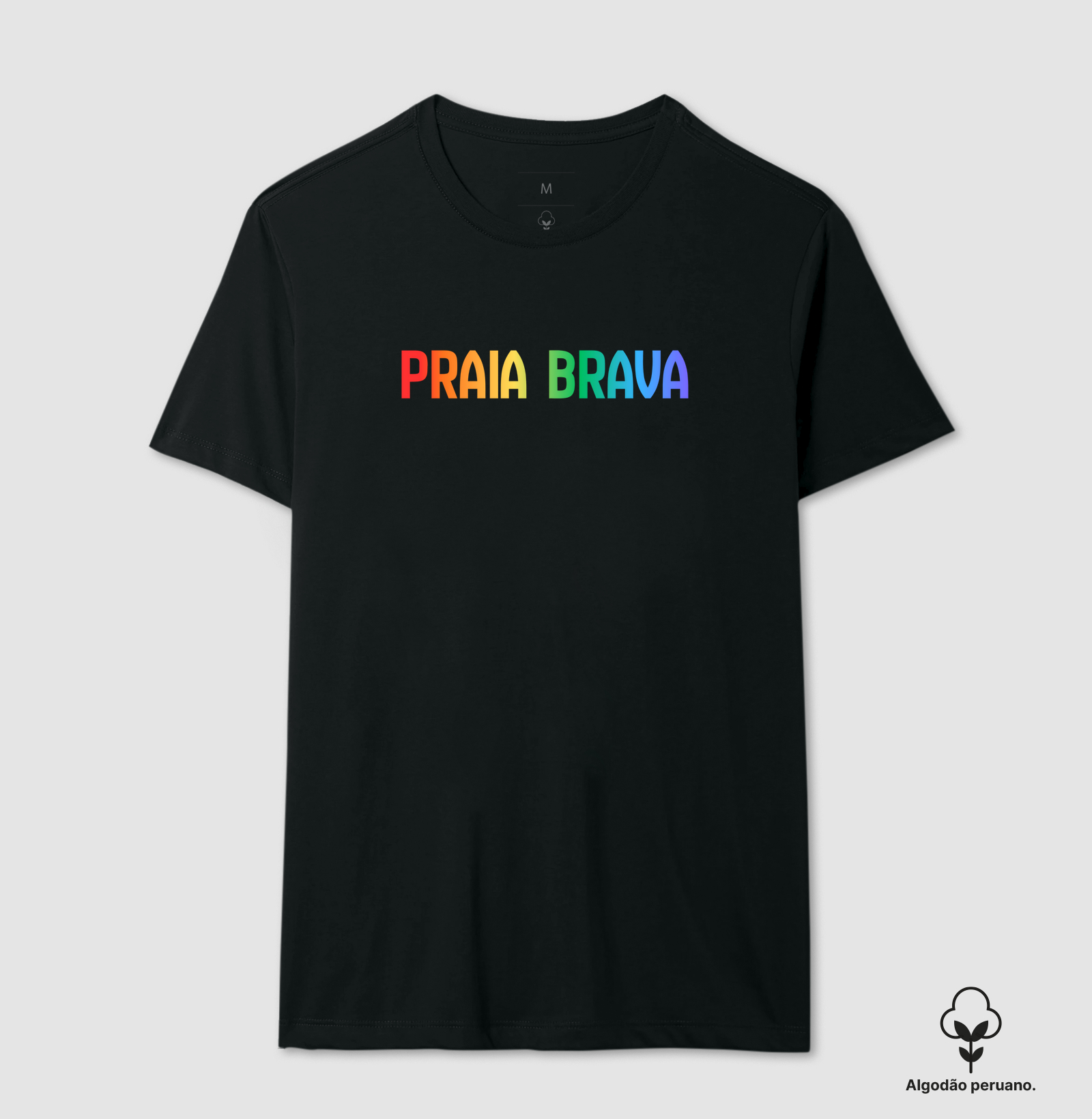 Praia Brava Beach