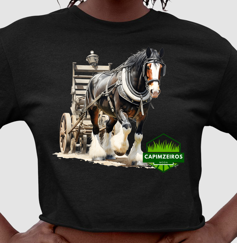 Cropped Capimzeiros - Cavalos & Potros 5