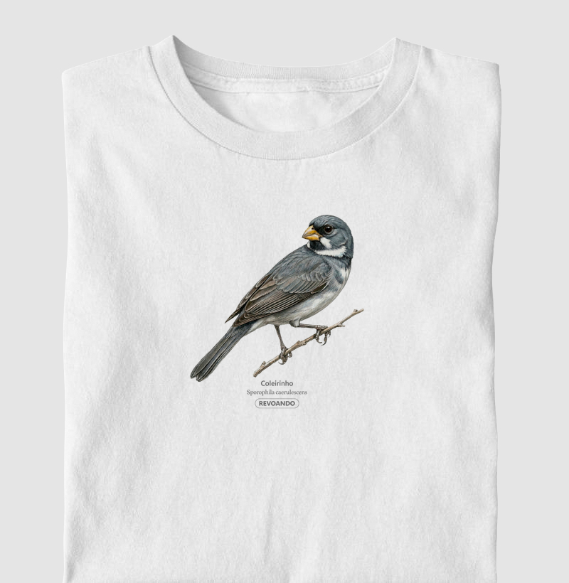 Traços Alados - Coleirinho II - Infantil - Camiseta Infantil
