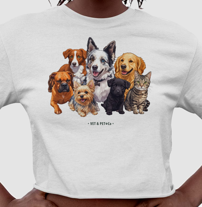 Cachorros e gato