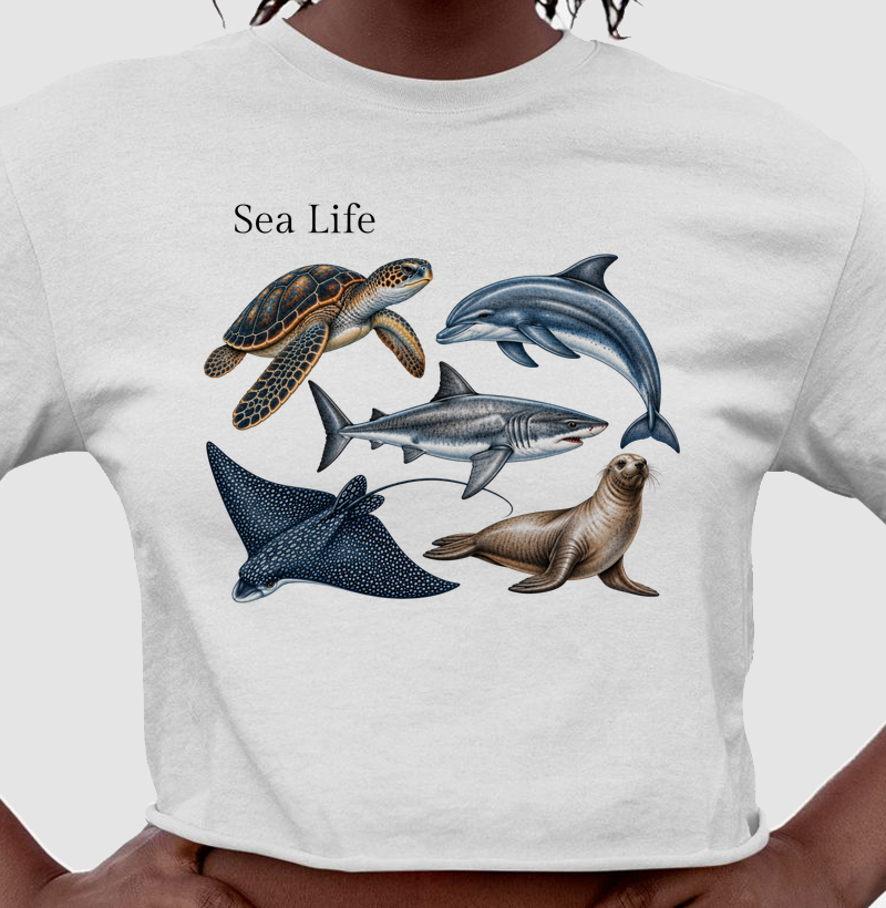 Sea Life - Cropped