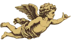 store logo