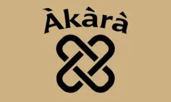 store logo